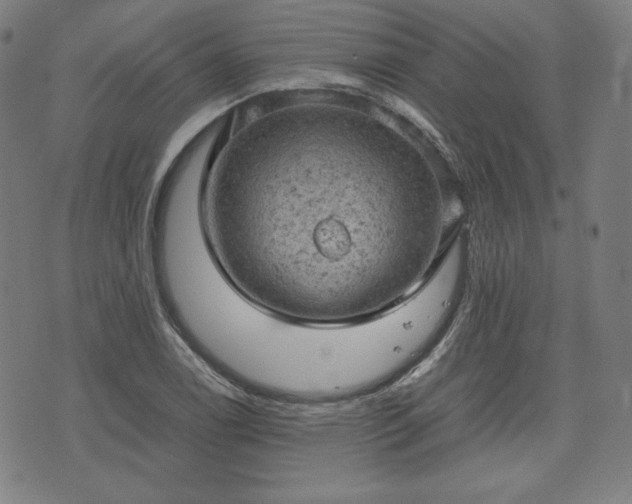 X0000072551122200607211352