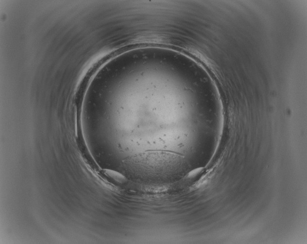 X0000072551123200607211352