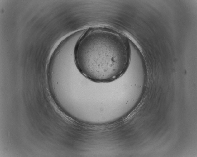 X0000072551124200607211352