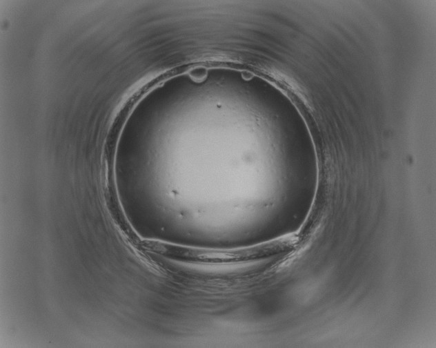 X0000072551125200607211352