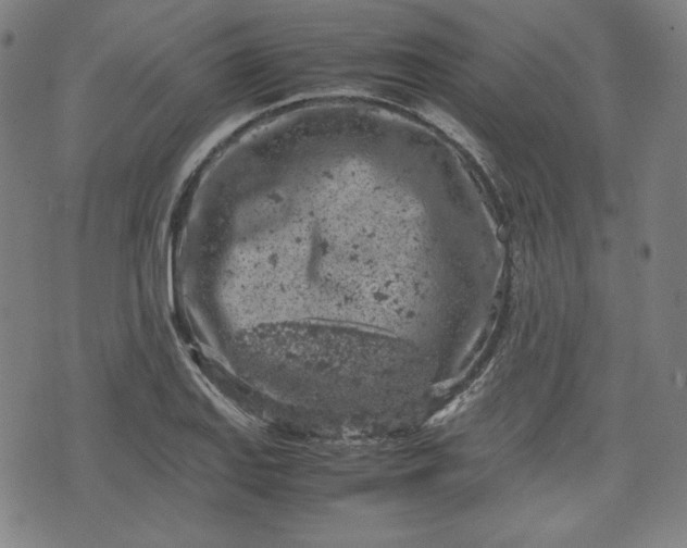 X0000072551127200607211352