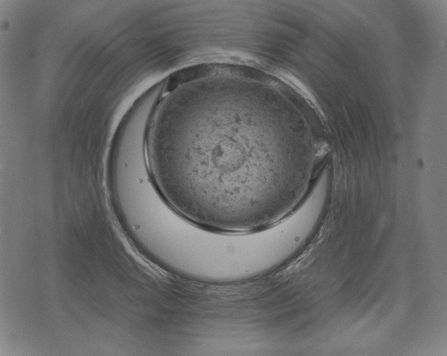 X0000072551128200607211352