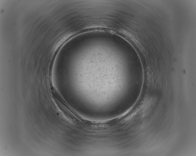 X0000072551129200607211352