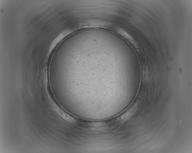 X0000072551130200607211352