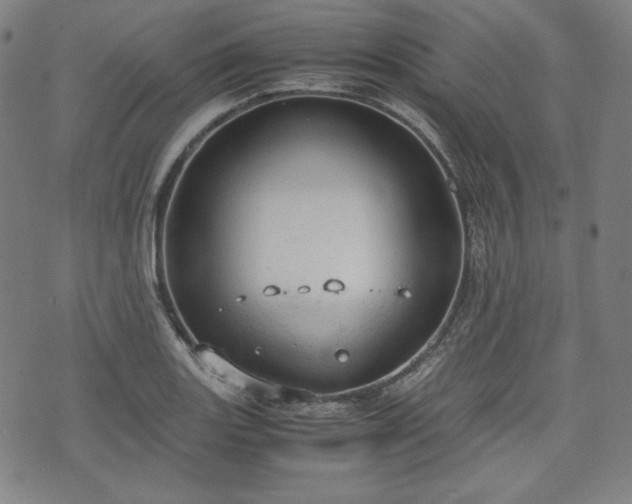 X0000072551131200607211352