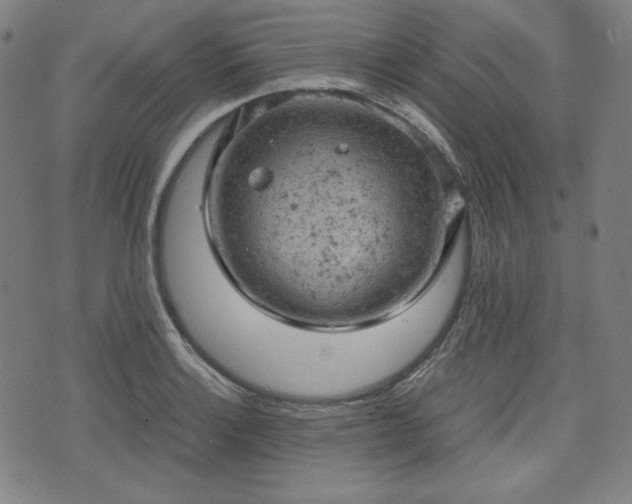 X0000072551132200607211352