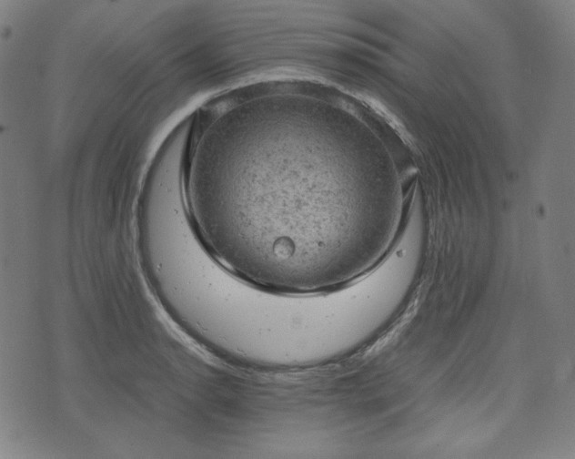 X0000072551134200607211352