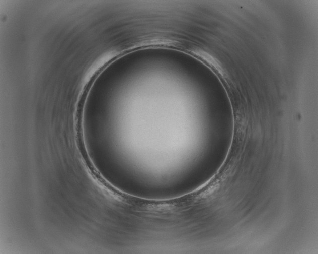 X0000072551135200607211352