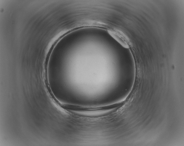 X0000072551136200607211352