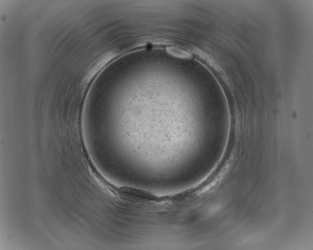 X0000072551137200607211352