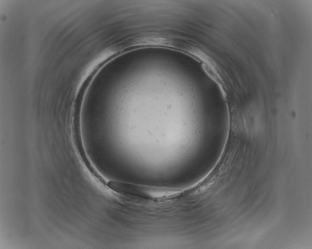 X0000072551139200607211352