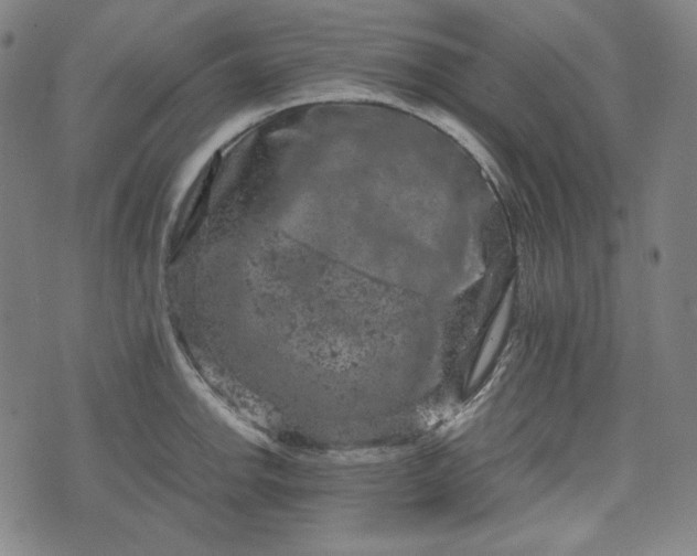 X0000072551142200607211353