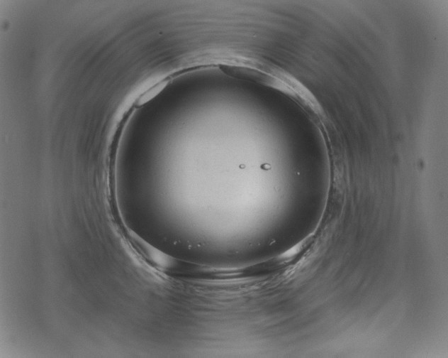 X0000072551144200607211353