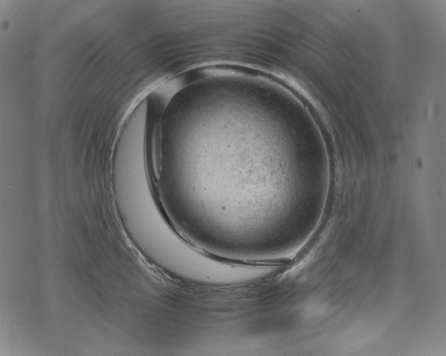 X0000072551145200607211353