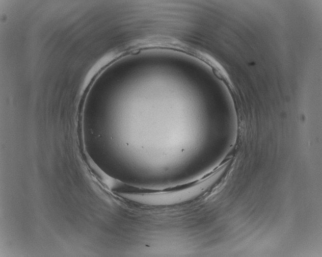 X0000072551146200607211353