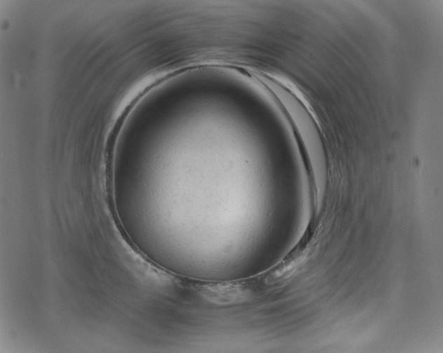 X0000072551147200607211353