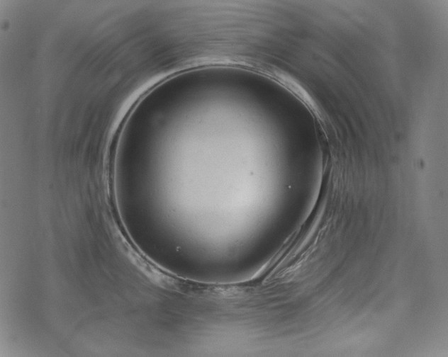 X0000072551148200607211353