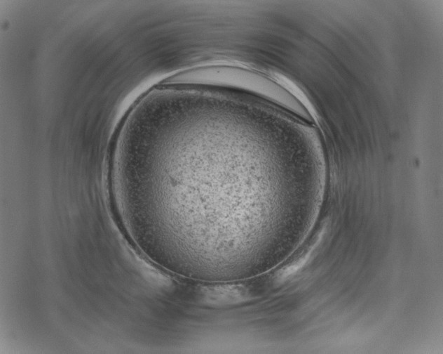 X0000072551149200607211353