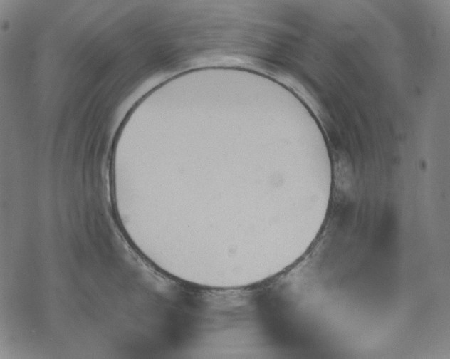 X0000072551150200607211353