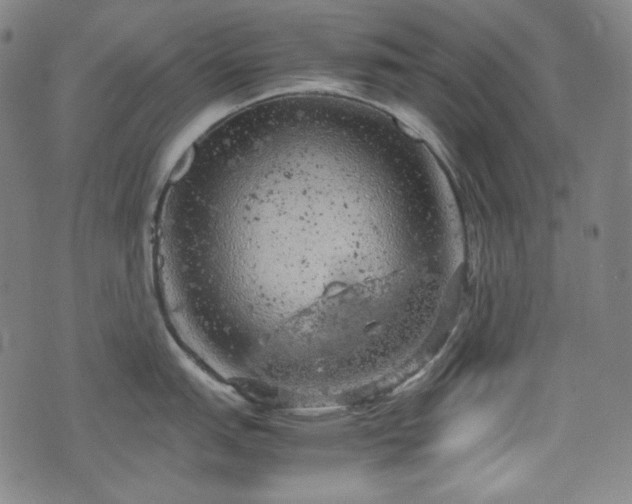 X0000072551151200607211353