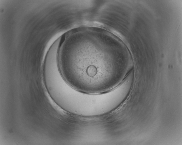 X0000072551152200607211353