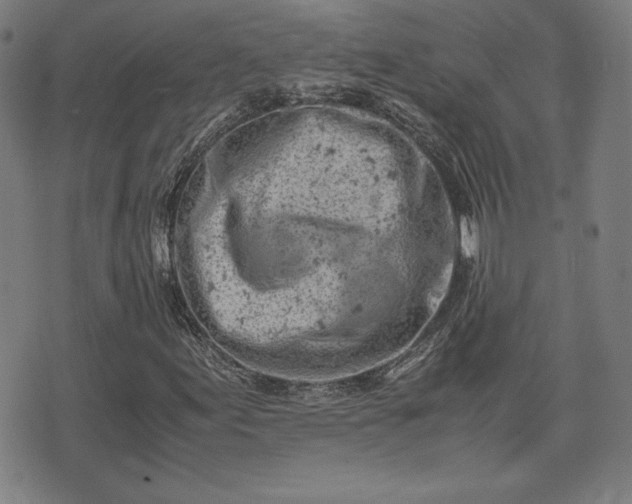 X0000072551155200607211352