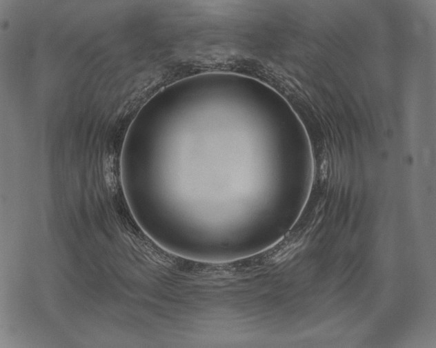 X0000072551156200607211352