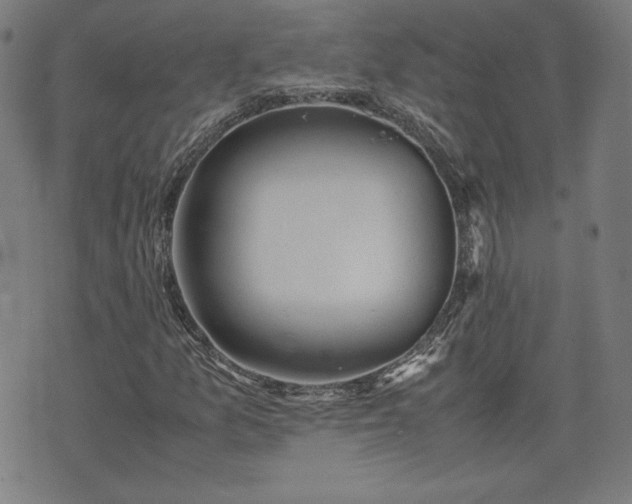 X0000072551157200607211352