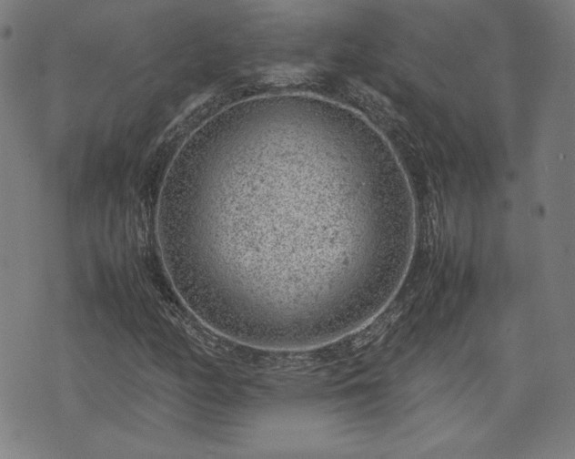 X0000072551158200607211352