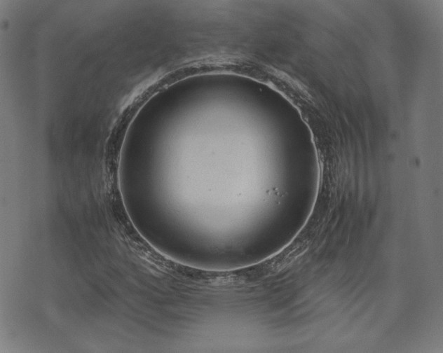 X0000072551160200607211352