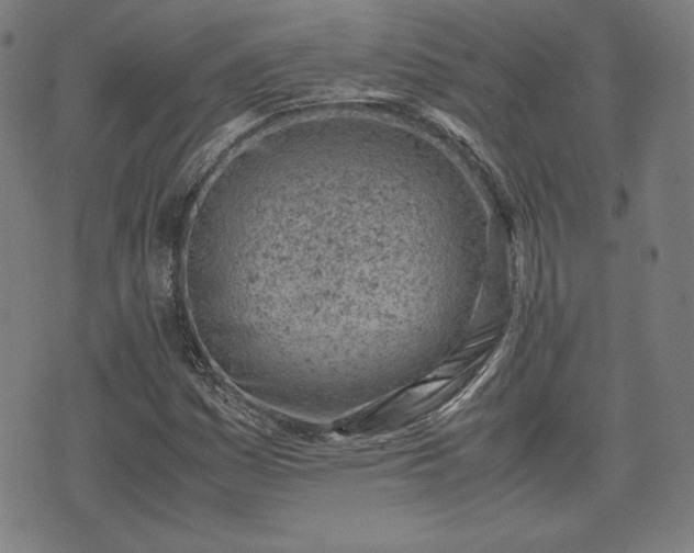 X0000072551161200607211352