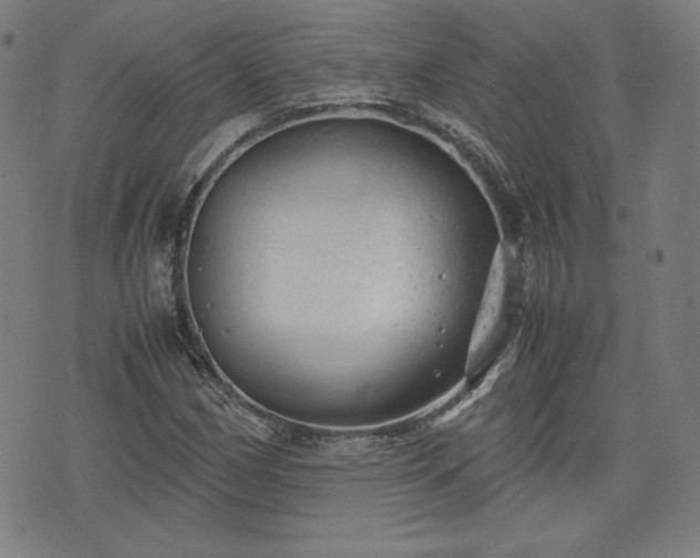 X0000072551162200607211352