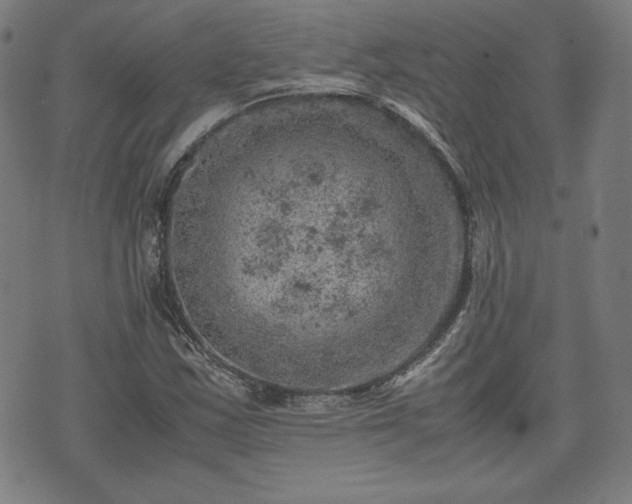 X0000072551163200607211352