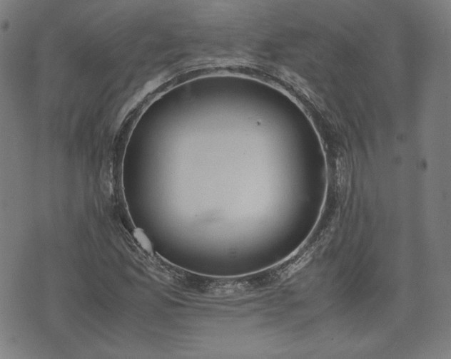 X0000072551165200607211352