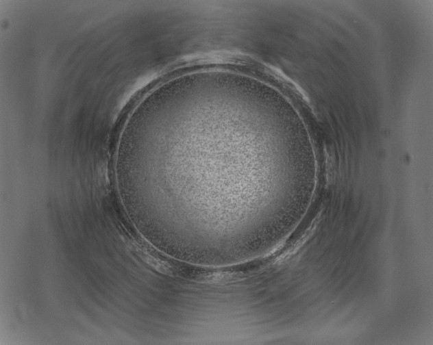 X0000072551166200607211352