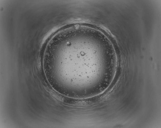 X0000072551167200607211352