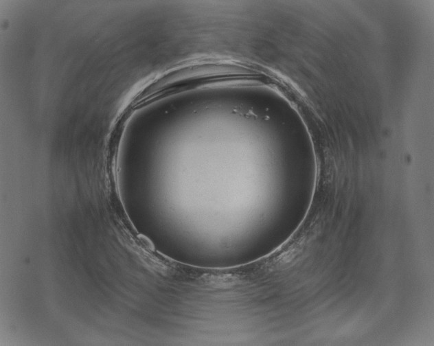 X0000072551168200607211352