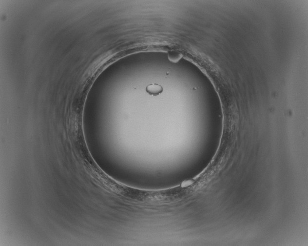 X0000072551169200607211352