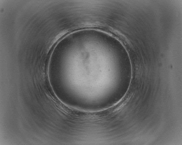 X0000072551170200607211352