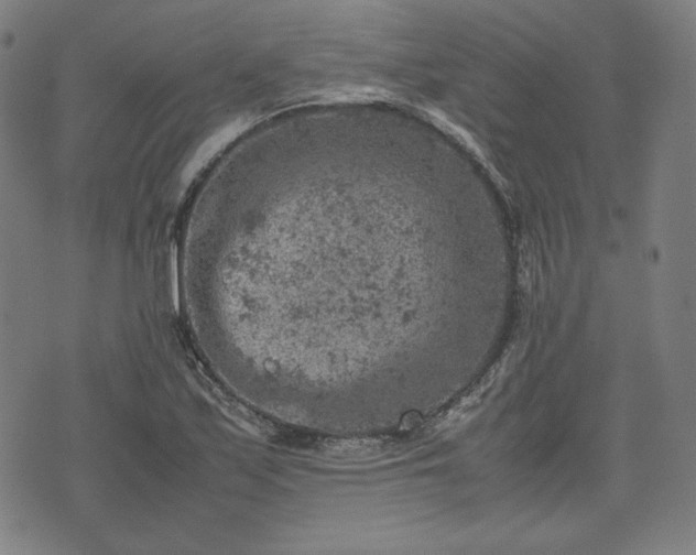 X0000072551171200607211352