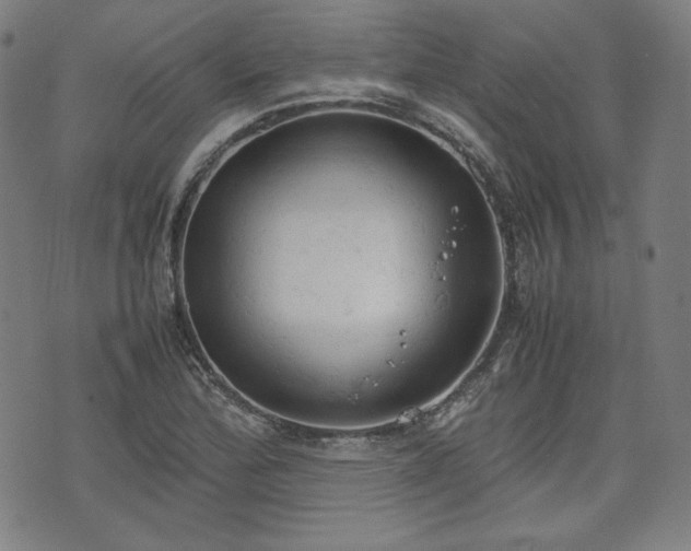 X0000072551172200607211352