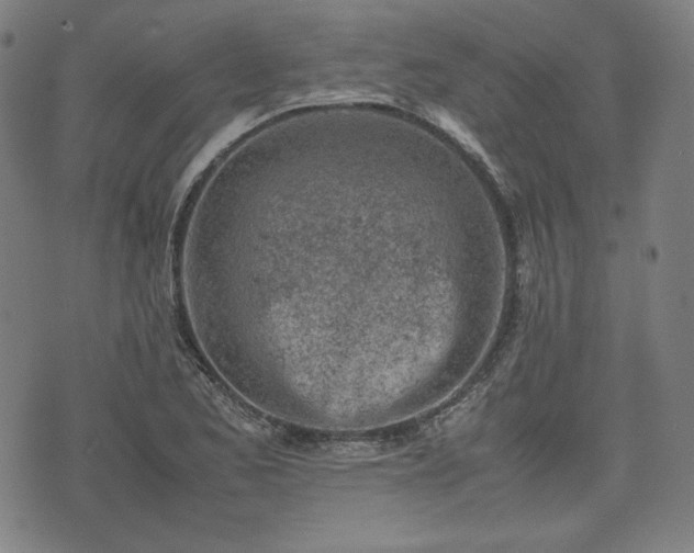 X0000072551173200607211352