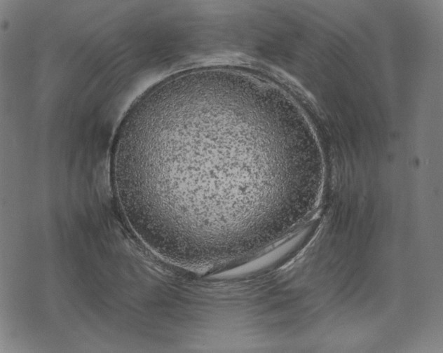 X0000072551174200607211352