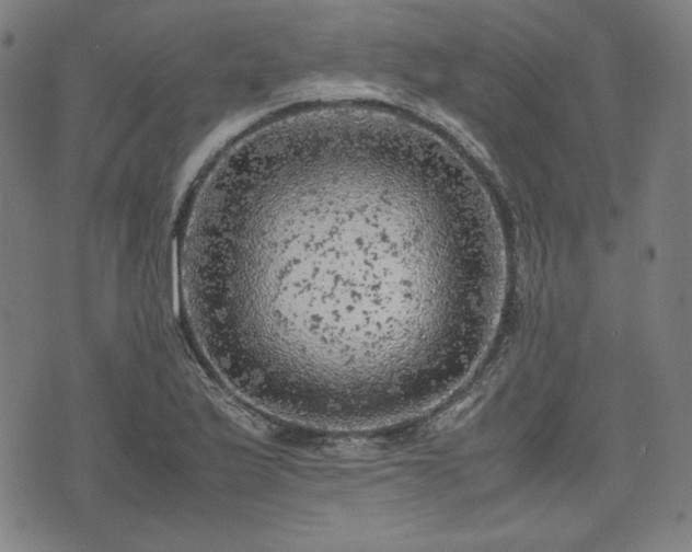 X0000072551175200607211352