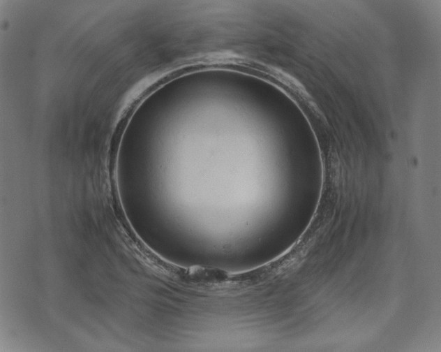 X0000072551176200607211352