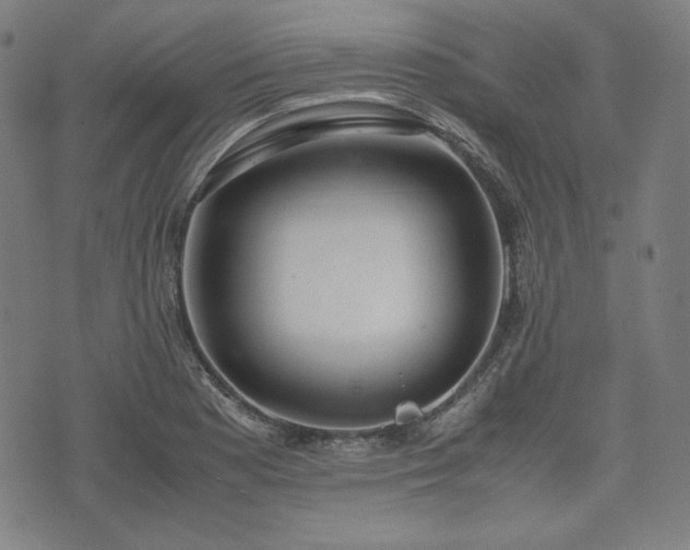 X0000072551177200607211352