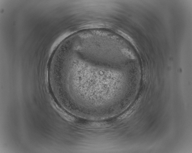 X0000072551179200607211351