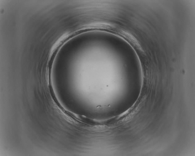 X0000072551180200607211351