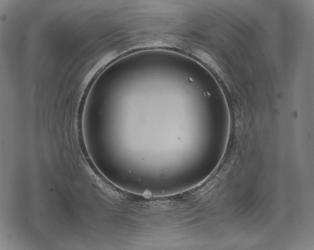 X0000072551181200607211351