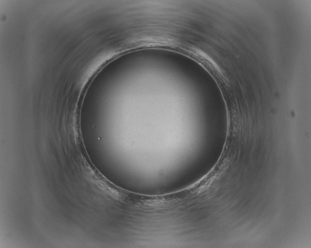 X0000072551182200607211351